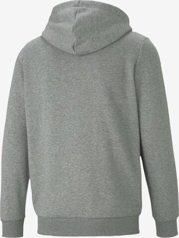 PUMA Zip-Up Hoodie in Grey