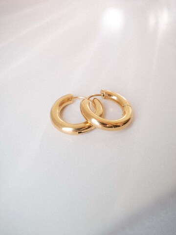 Orecchini 'glamorous' di PURELEI in oro