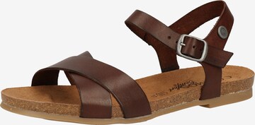COSMOS COMFORT Sandals 'Zoey' in Brown: front