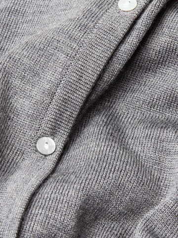 Cardigan Goldner en gris