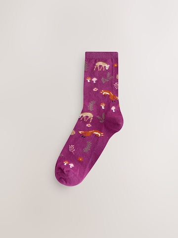 Next Socks in Mixed colours