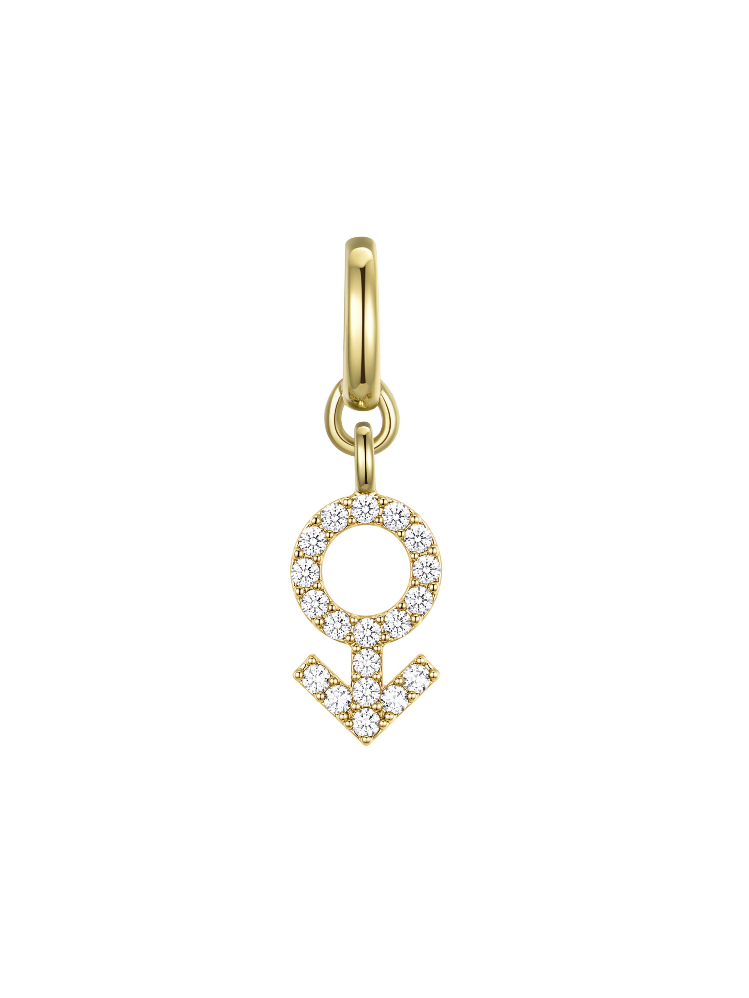 Unleash Cph Halsband in Transparent: front