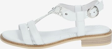 Sandales Nero Giardini en blanc