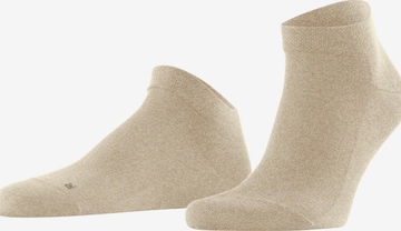 FALKE Socks 'Sensitive London' in Beige: front