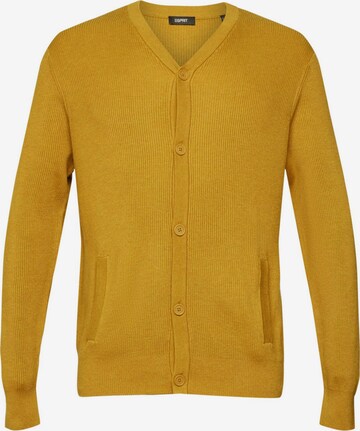 Esprit Collection Knit Cardigan in Yellow: front