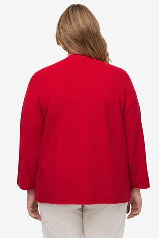 Ulla Popken Knit Cardigan in Red