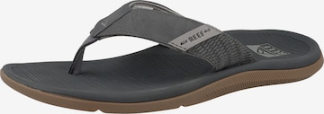 REEF T-Bar Sandals 'Santa Ana' in Grey: front