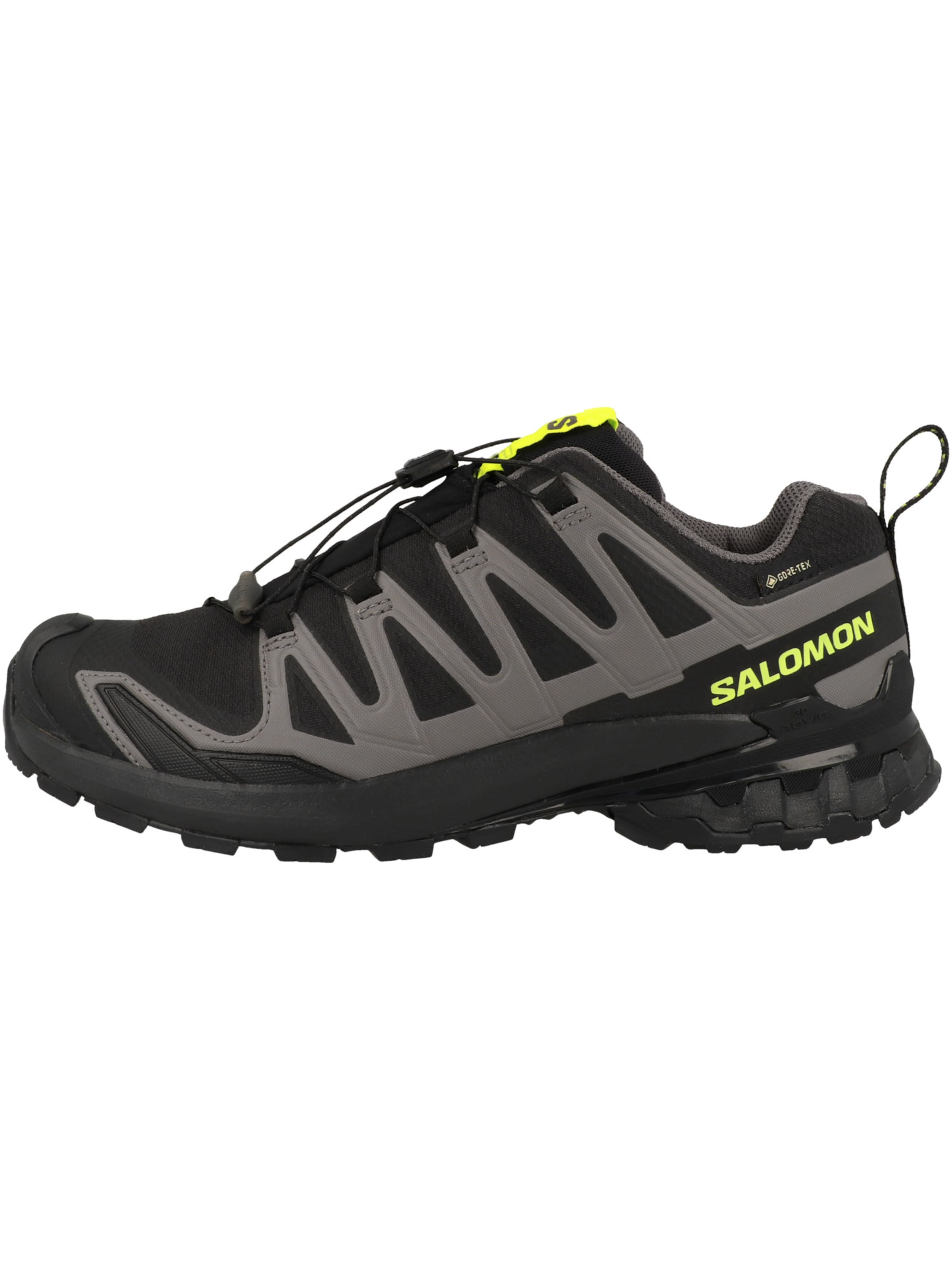 Chaussure de course 'XA Pro 3D V9' SALOMON en gris