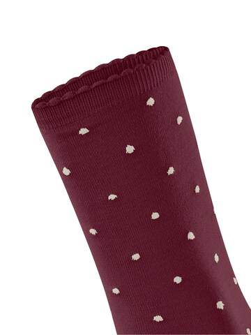 FALKE Socks 'Spike Dot' in Red