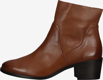 Paul Green Ankle Boots in Brown