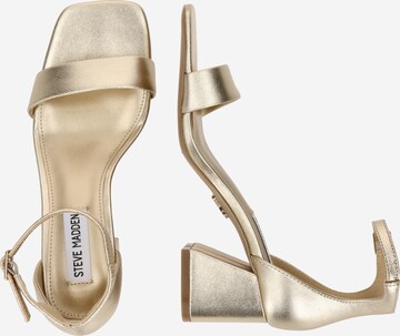 STEVE MADDEN - Sandálias com tiras 'EPIX' em ouro