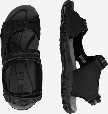 juoda GEOX Sportinio tipo sandalai 'Strada'