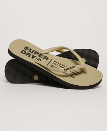 Superdry Teenslipper in Beige