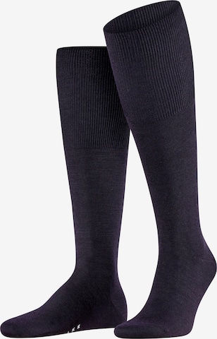 FALKE Knee High Socks 'Airport' in Blue: front