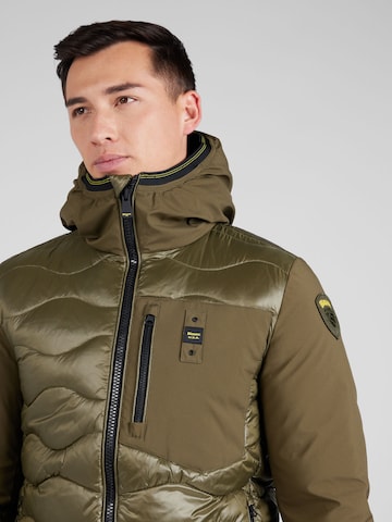 Blauer.USA Зимняя куртка в Зеленый