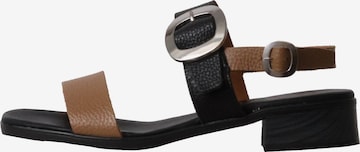 Oh my Sandals Sandale in Schwarz: Vorderseite