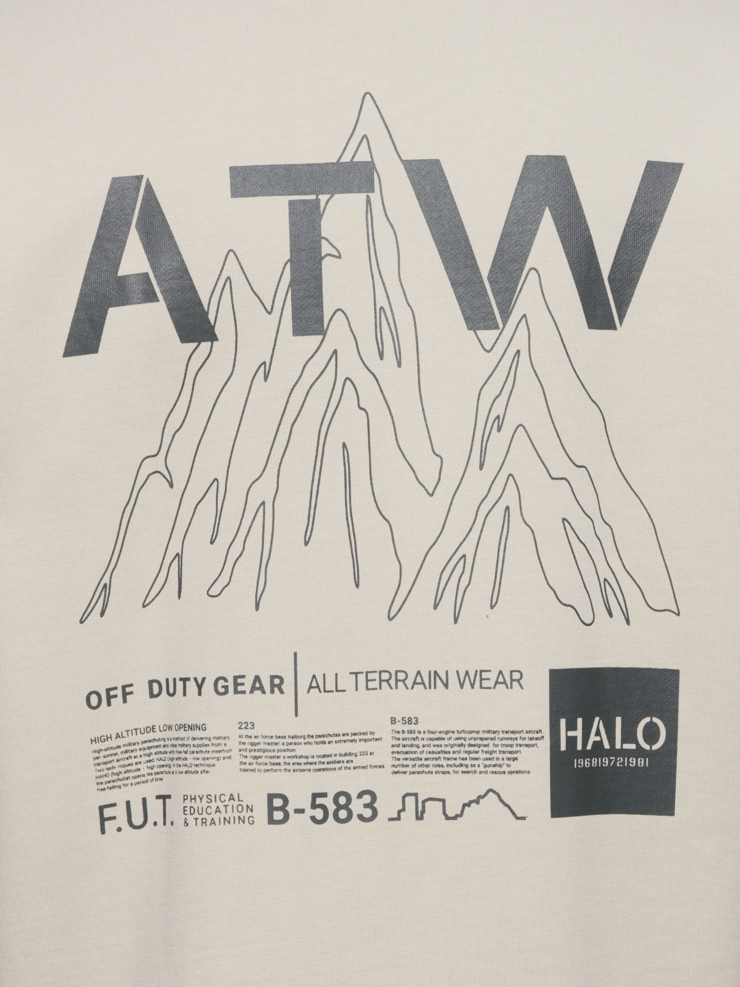 Sweat-shirt HALO en beige