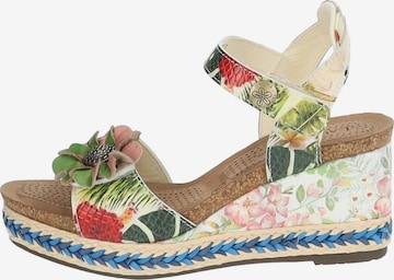 Laura Vita Sandals in Mixed colors