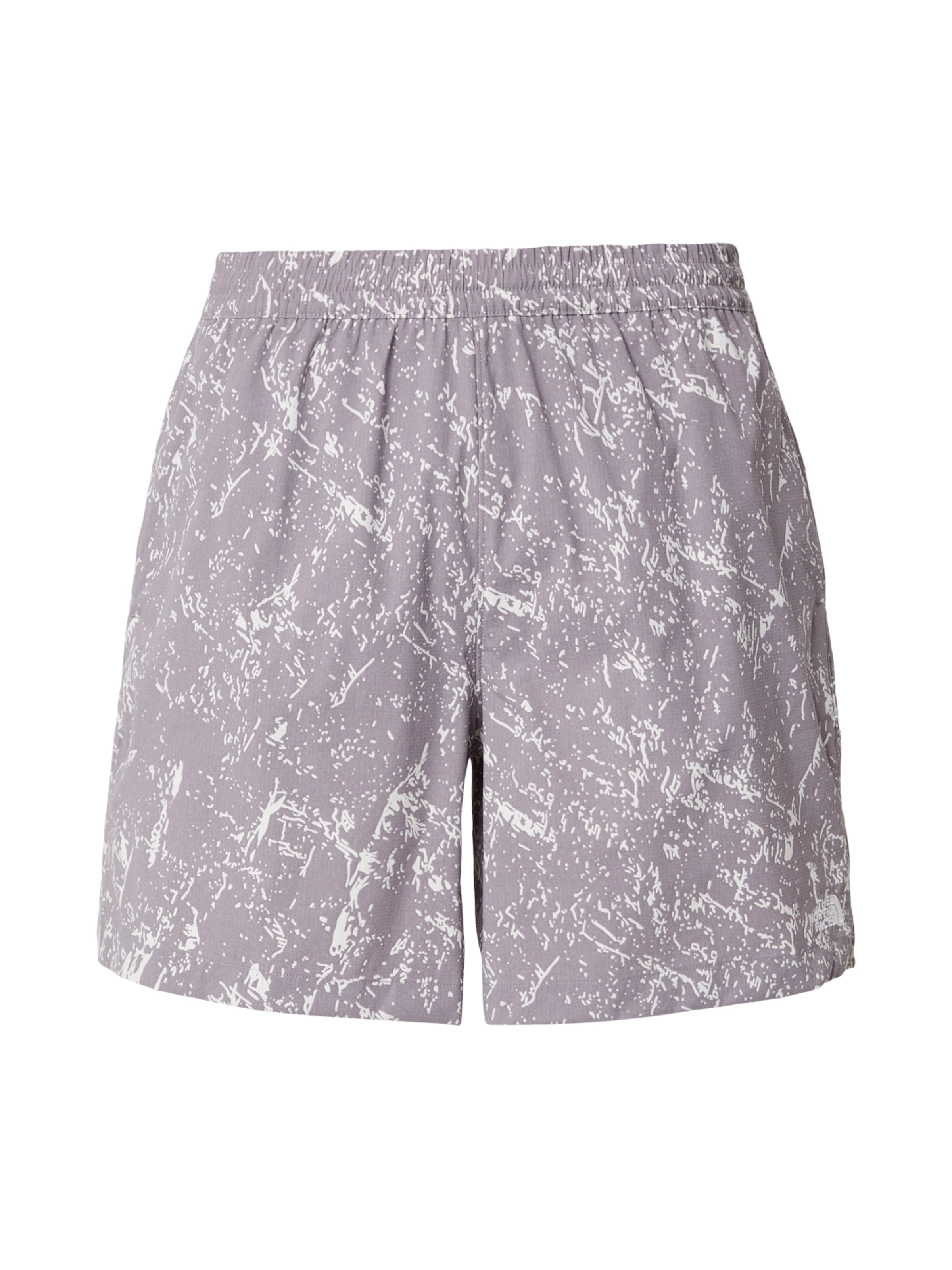 pilka THE NORTH FACE Standartinis Sportinės kelnės: priekis