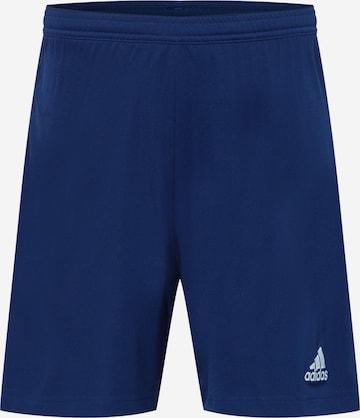 ADIDAS SPORTSWEAR Regular Workout Pants 'Entrada 22' in Blue: front
