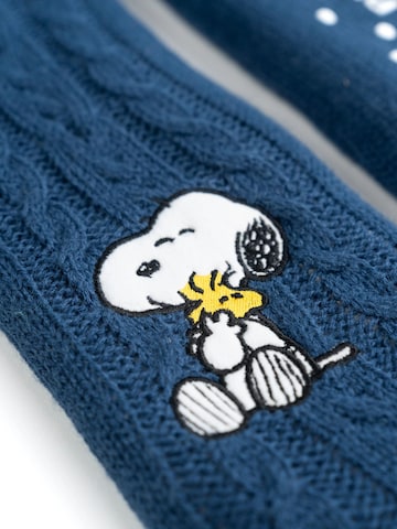 Snoopy & Die Peanuts Socks in Blue