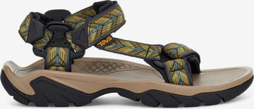 TEVA Hiking Sandals 'Terra FI 5 Universal' in Mixed colors