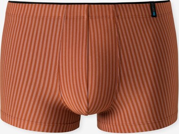 SCHIESSER Hip-Shorts ' Long Life Soft ' in Braun: predná strana