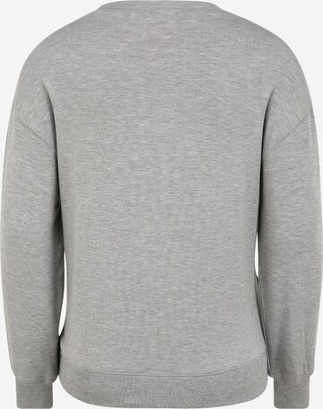 BOOB Sweatshirt in Grau