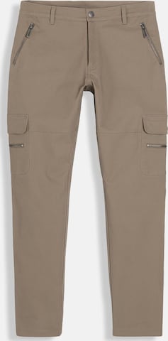 Ombre Regular Trousers in Green: front