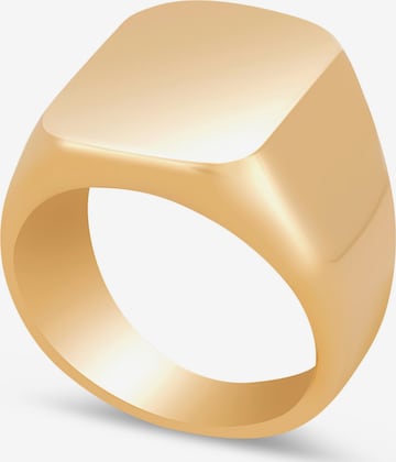 Akitsune Ring 'Iustitia' in Gold: front