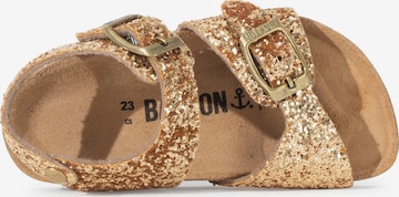 Bayton Sandal 'Pegase' i guld