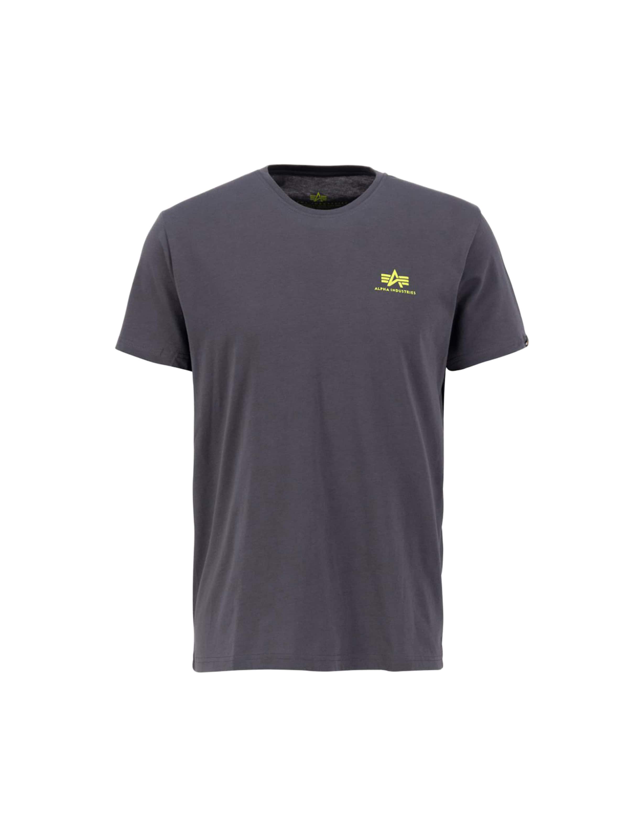 ALPHA INDUSTRIES T-Shirt in Grau: Vorderseite