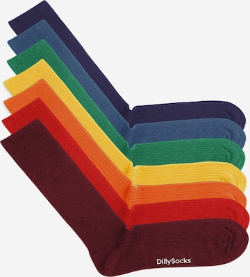 Chaussettes DillySocks en mélange de couleurs : devant