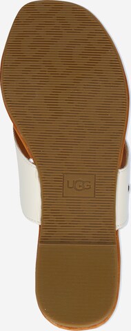 UGG Teenslipper 'Carey' in Wit