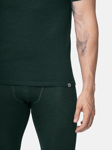 DANISH ENDURANCE Funktionsshirt 'Merino' in Grün