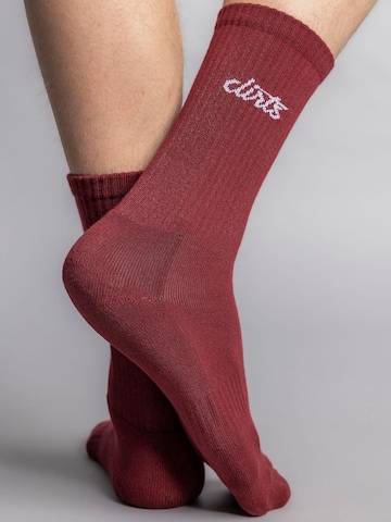 Dirts Socks 'Classic Logo Socks' in Red: front
