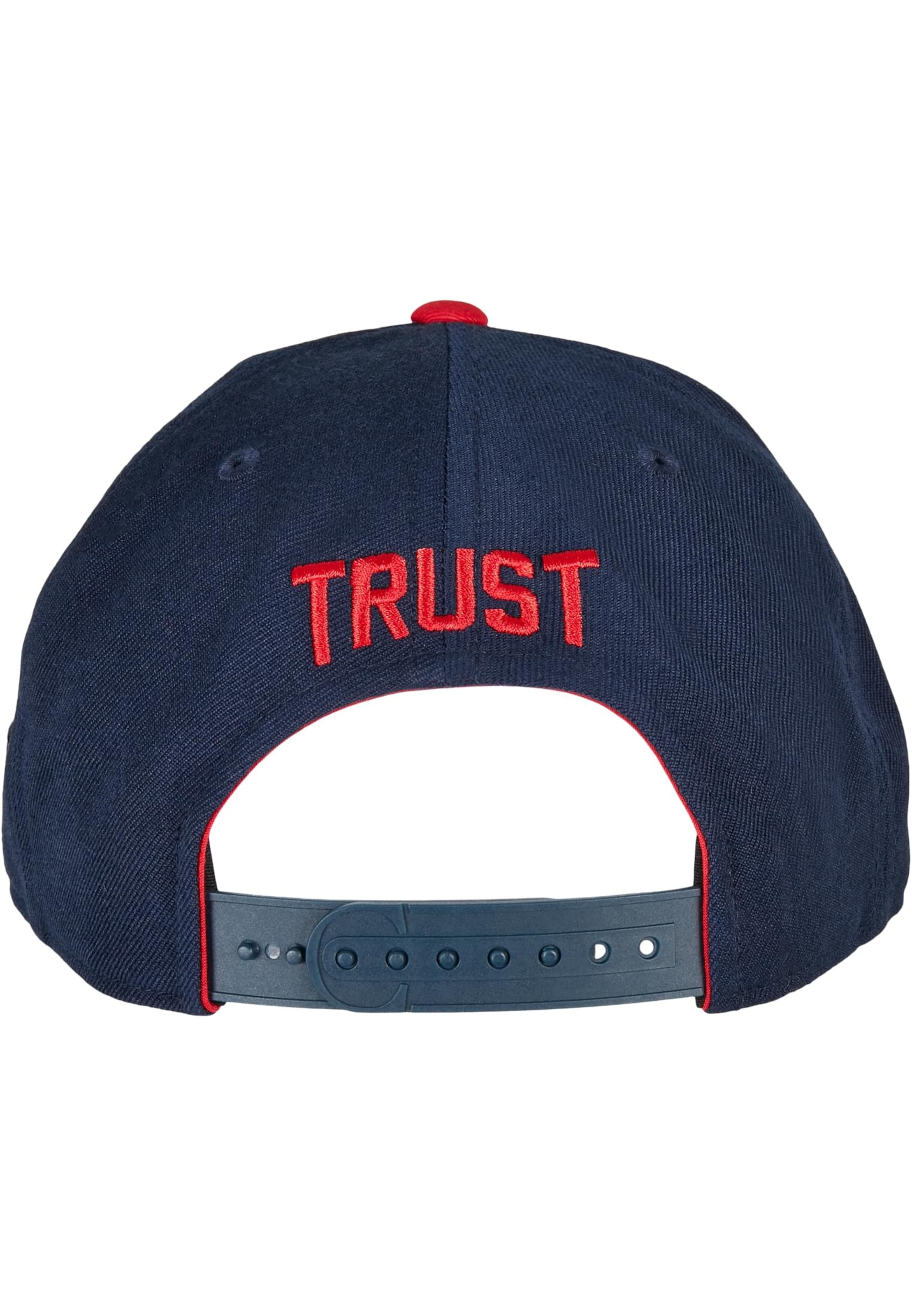 Cayler & Sons Pet in Blauw