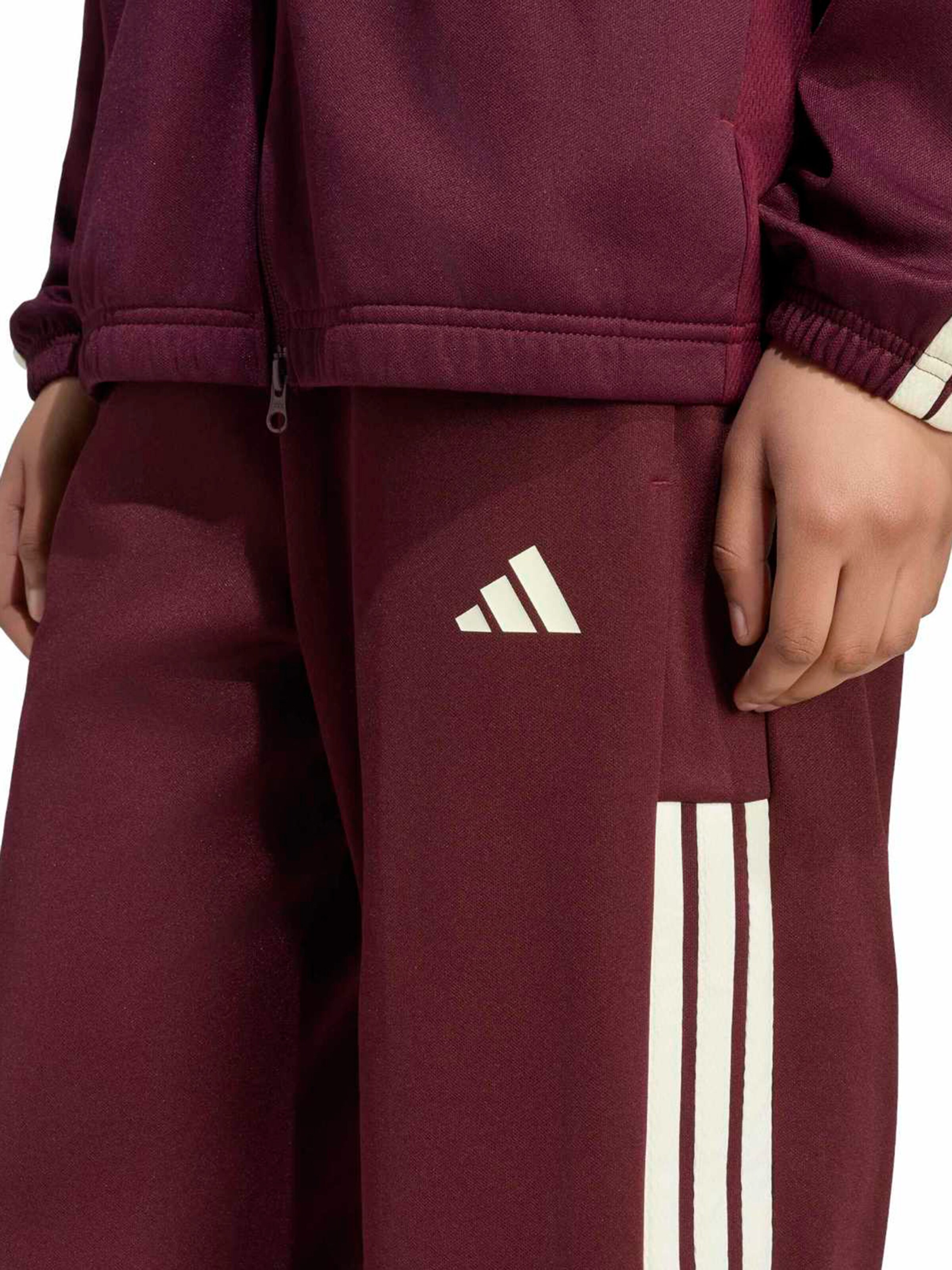 ADIDAS SPORTSWEAR Обычный Спортивные штаны 'TIRO' в Красный