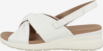 CAPRICE Sandals ' 9-28300-20 ' in White