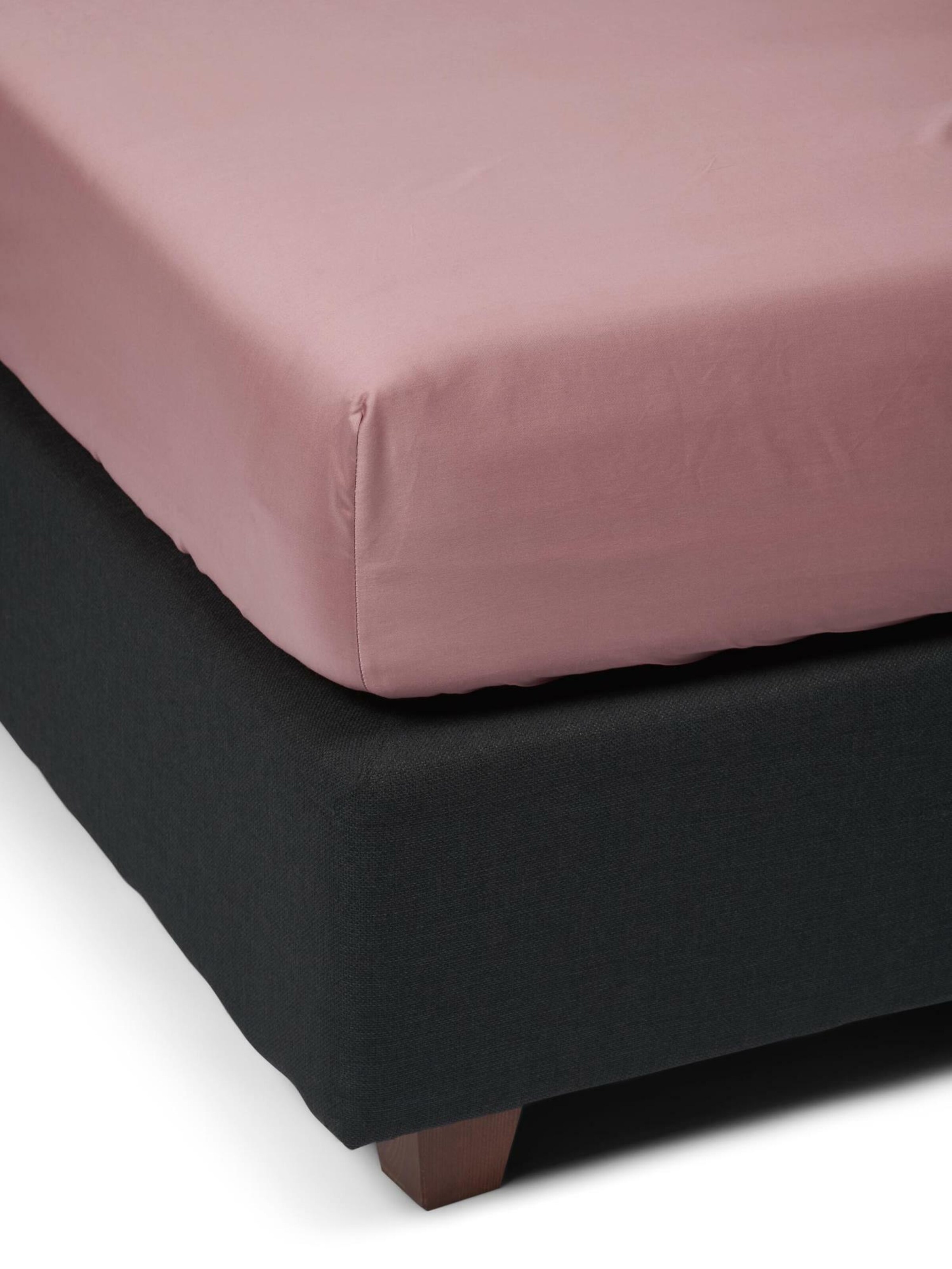 ESSENZA Bed Sheet in Pink