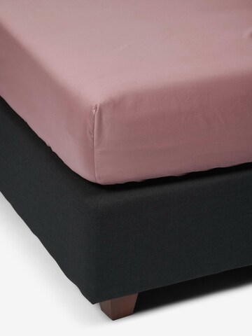 ESSENZA Bed Sheet in Pink