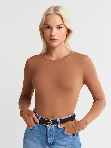 DilvinPulover 'Pullover' - smeđa boja: prednji dio