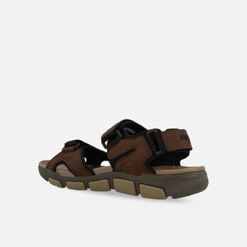 WRANGLER Sandale in Braun