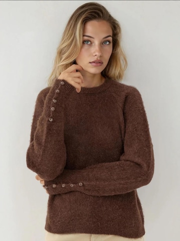 Pull-over 'Pullover' Hiccup en marron : devant