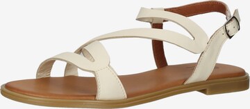 ILC Sandalen met riem in Beige: voorkant