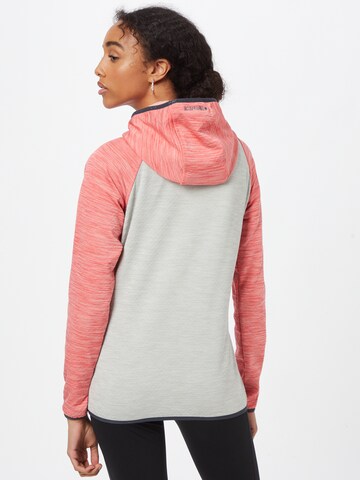 ICEPEAK Sports sweat jacket 'Deltona' in Grey