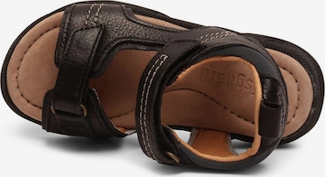 BISGAARD Sandals & Slippers 'Adam' in Black