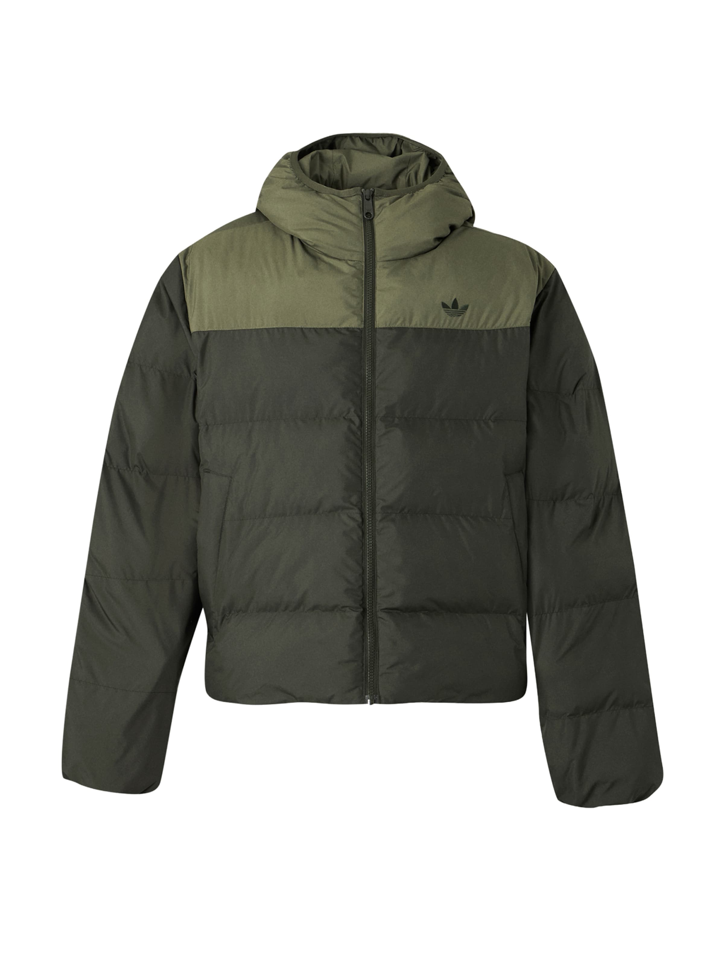 ADIDAS ORIGINALS Vinterjakke i grøn: forside