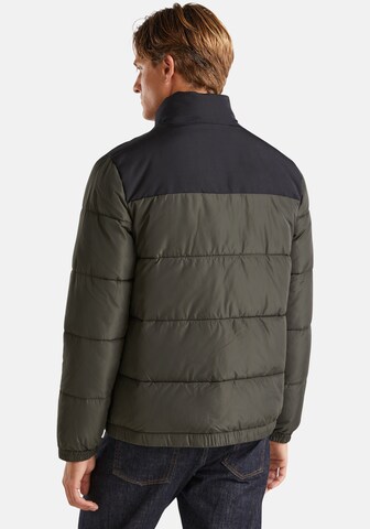 UNITED COLORS OF BENETTON Winter Jacket in Green