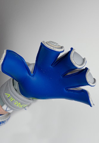 REUSCH Sporthandschoenen 'Attrakt Gold X Evolution Cut' in Grijs